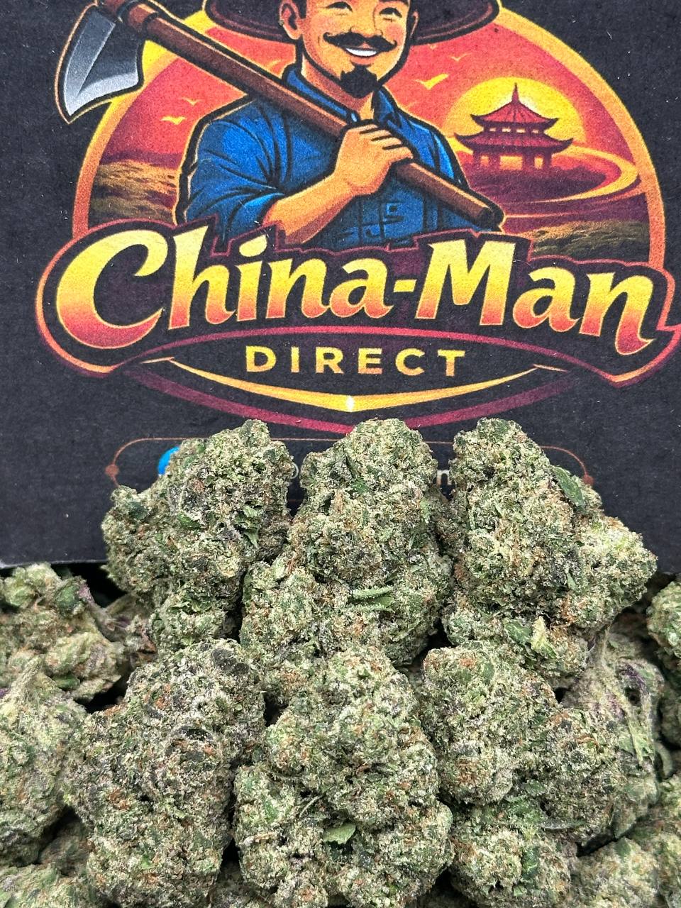 #EA361 - Pink Guava Burst (Hybrid)