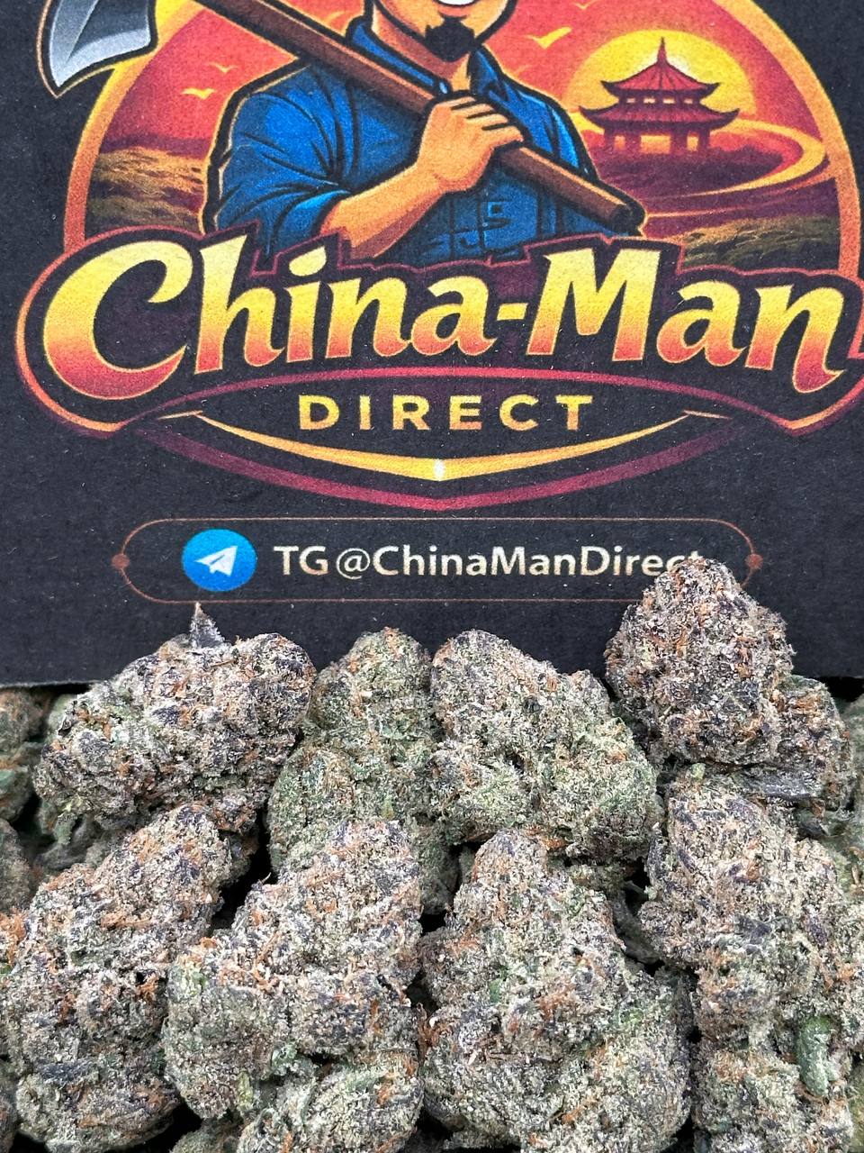 #EA366 - Black Cherry Royale (Hybrid)