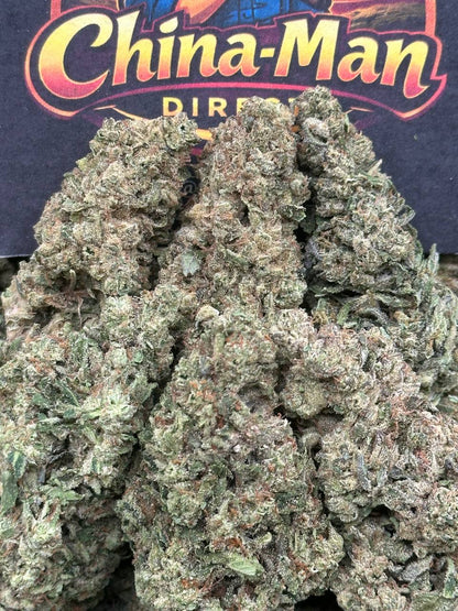 #FK035 - Tropical Pine Burst (Hybrid)