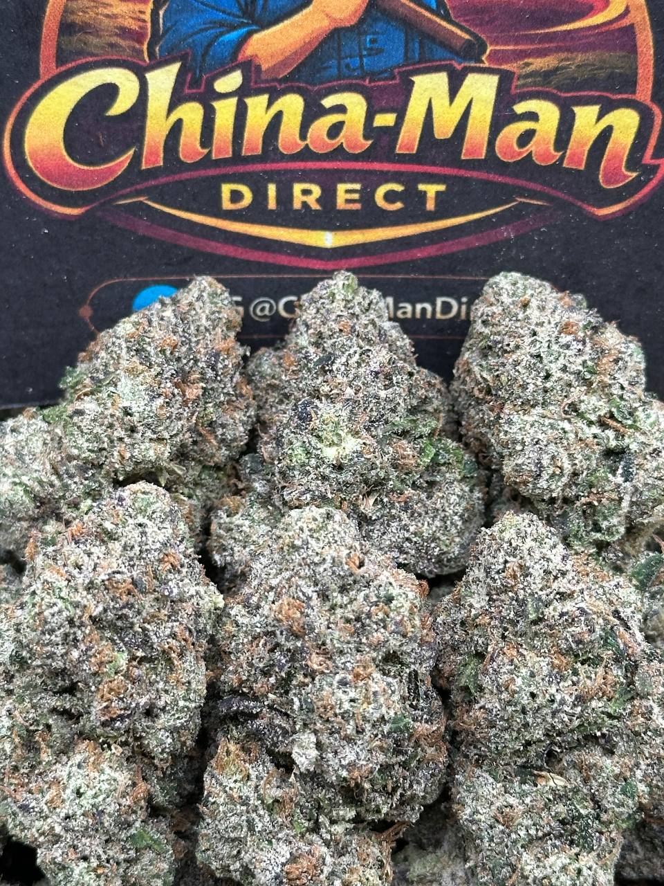 #IN601 - Golden Nectar (Hybrid)