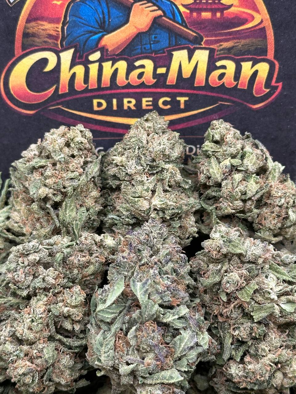 #FK048 - Forest Velvet (Hybrid)