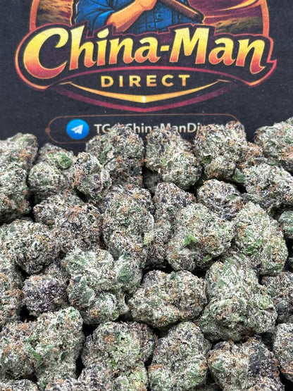 #RM58 - Royal Gelato SM (Hybrid)