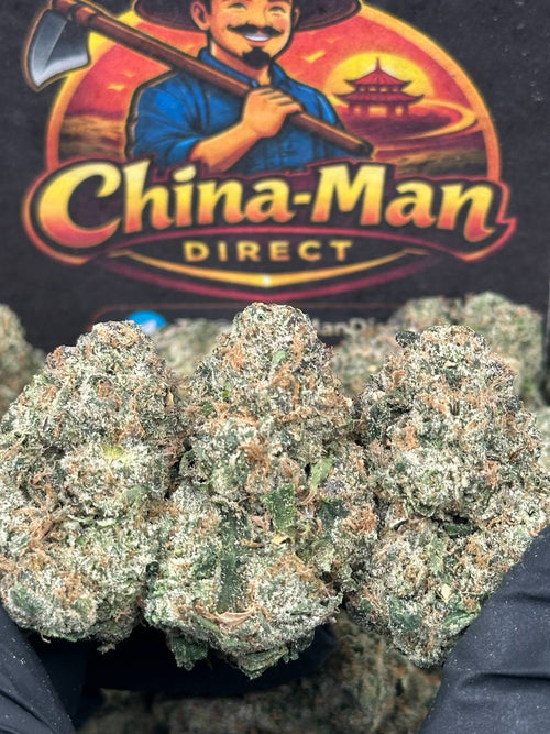 #KI503 - Citrus Zlushie (Hybrid)