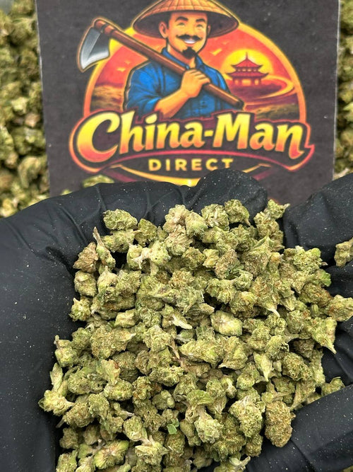 #SS479 - Stone Timber SM (Indica Hybrid)