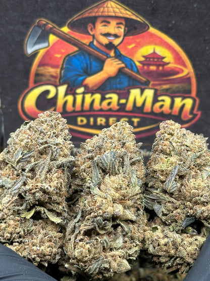 #FK135 - Blueberry Muffin (Hybrid)
