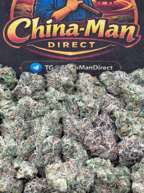 #SS512 - Mango Dream SM (Hybrid)
