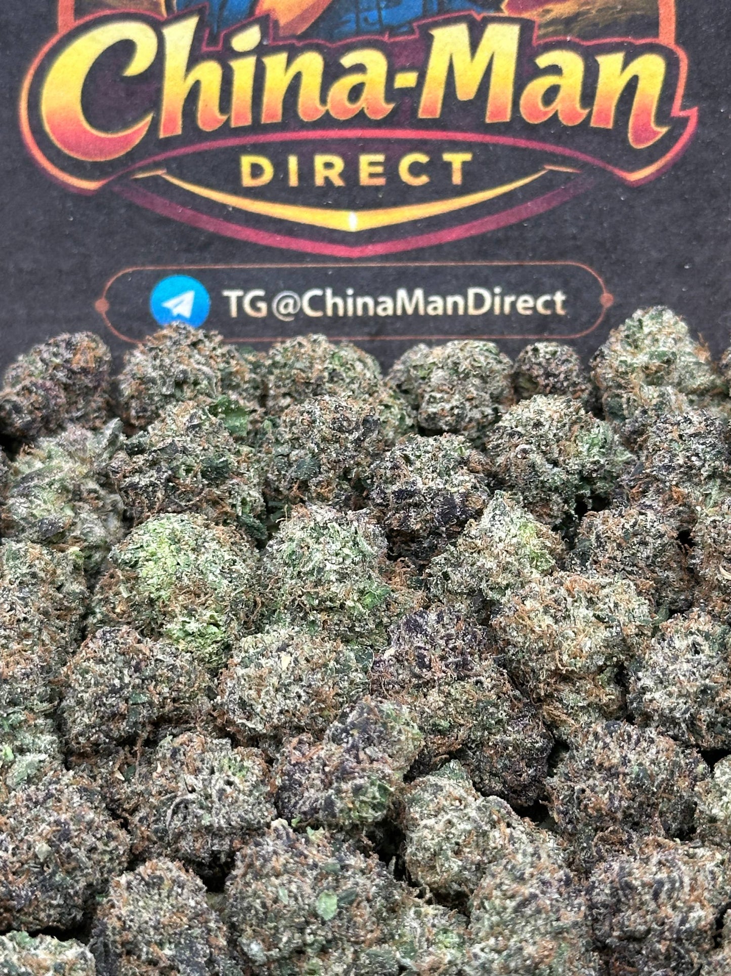 #SS522 - Sweet Pineapple SM (Hybrid)