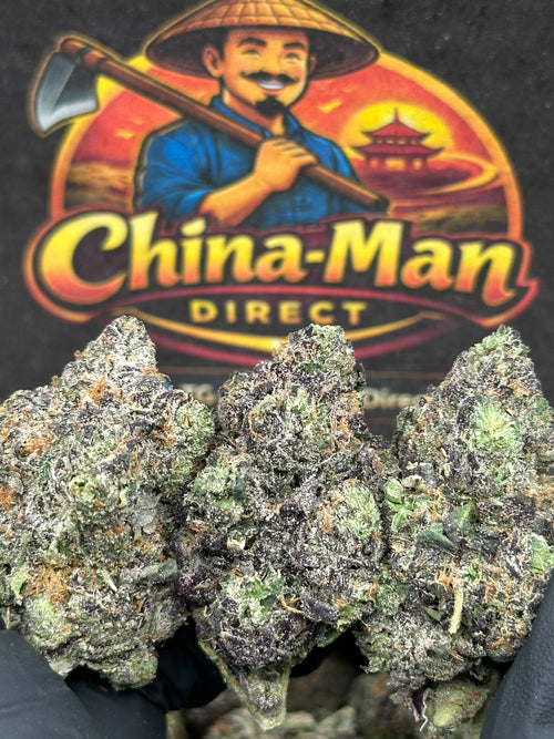 #EA598 - Lemon Ice (Hybrid)