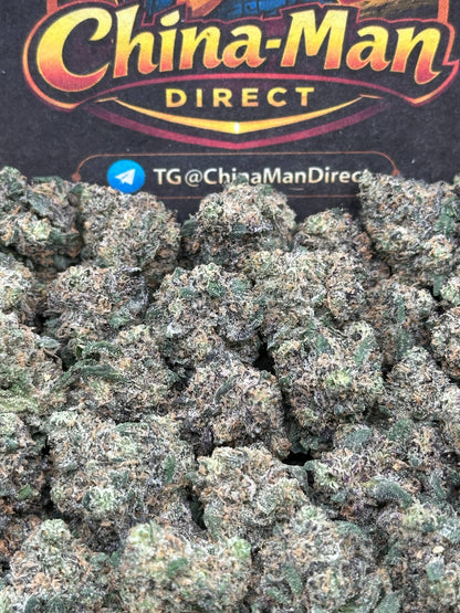 #KAM309 - Sugar Rush SM (Hybrid)