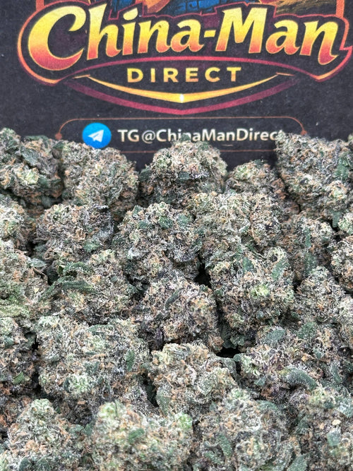 #KAM309 - Sugar Rush SM (Hybrid)