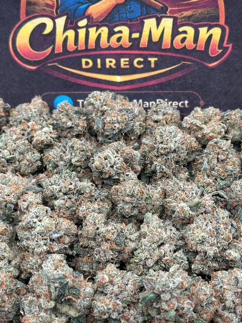 #KAM313 - Berry Glow SM (Hybrid)