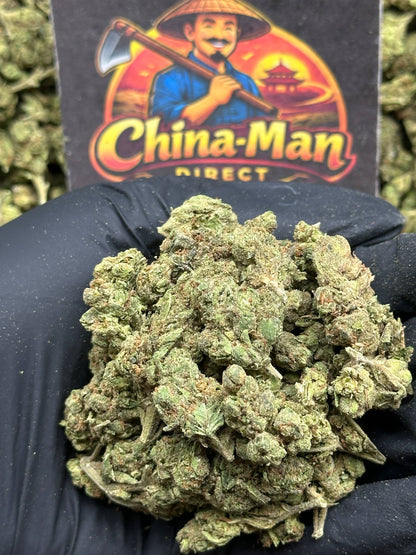 #SS536 - Cherry SM (Hybrid)