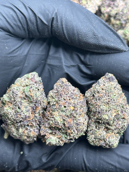 #EA615 - Vanilla Frost (Hybrid)