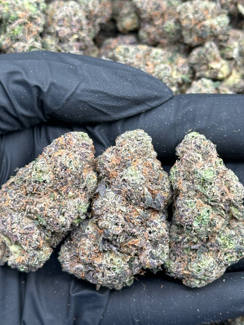 #EA616 - Peach Sunset (Hybrid)