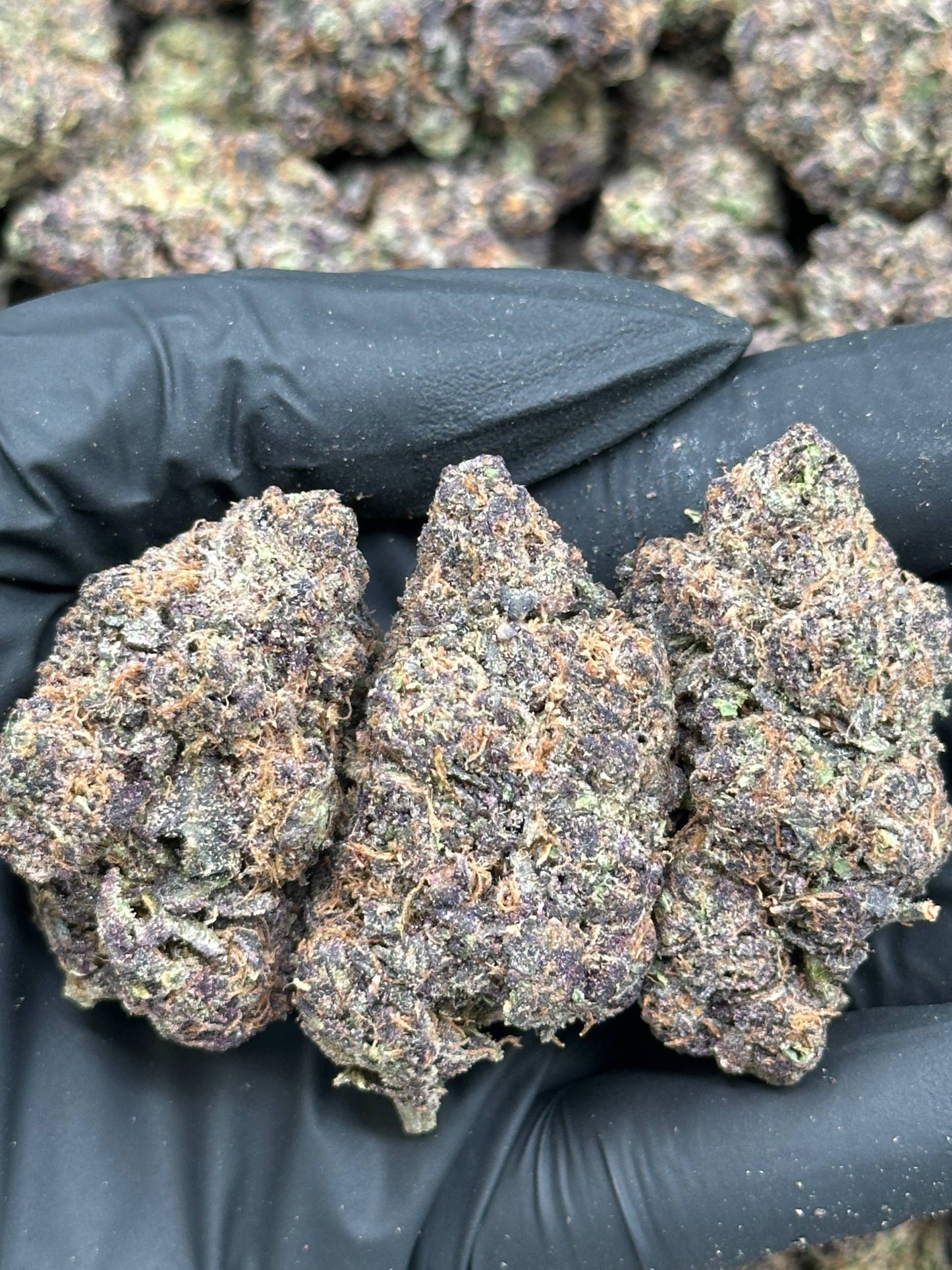 #EA617 - Strawberry Cloud (Hybrid)