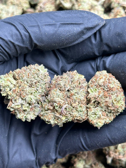 #FK154 - Coconut Cream (Hybrid)
