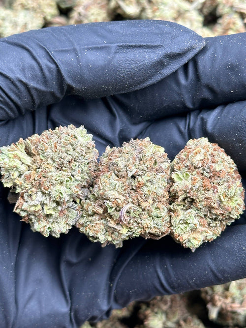 #FK154 - Coconut Cream (Hybrid)