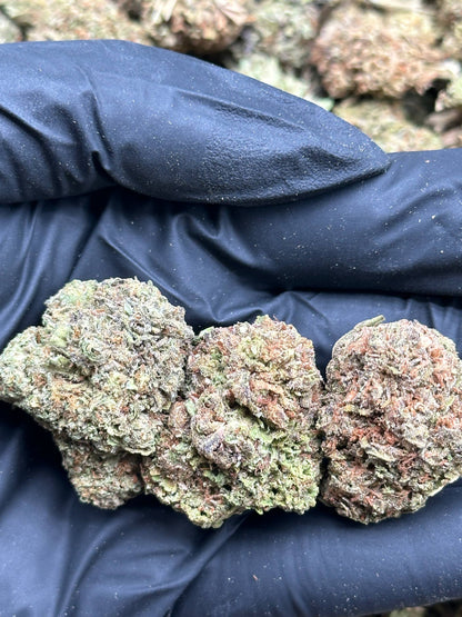 #FK155 - Guava Punch (Hybrid)