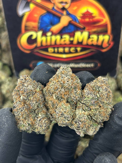 #N-EA745 - Sweet Cream (Hybrid)