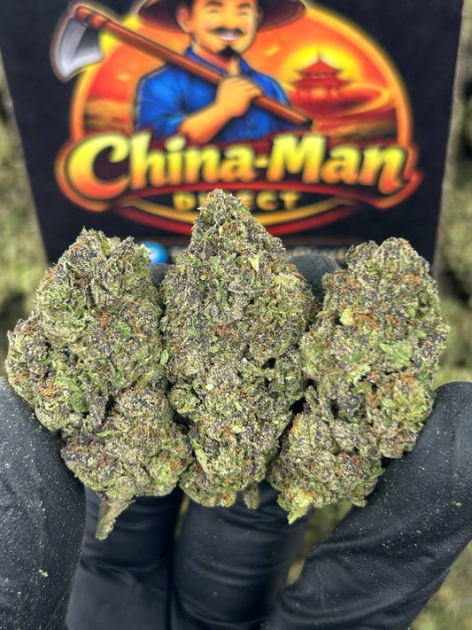 #B-EB024 - Ice Cream Cake (Hybrid)