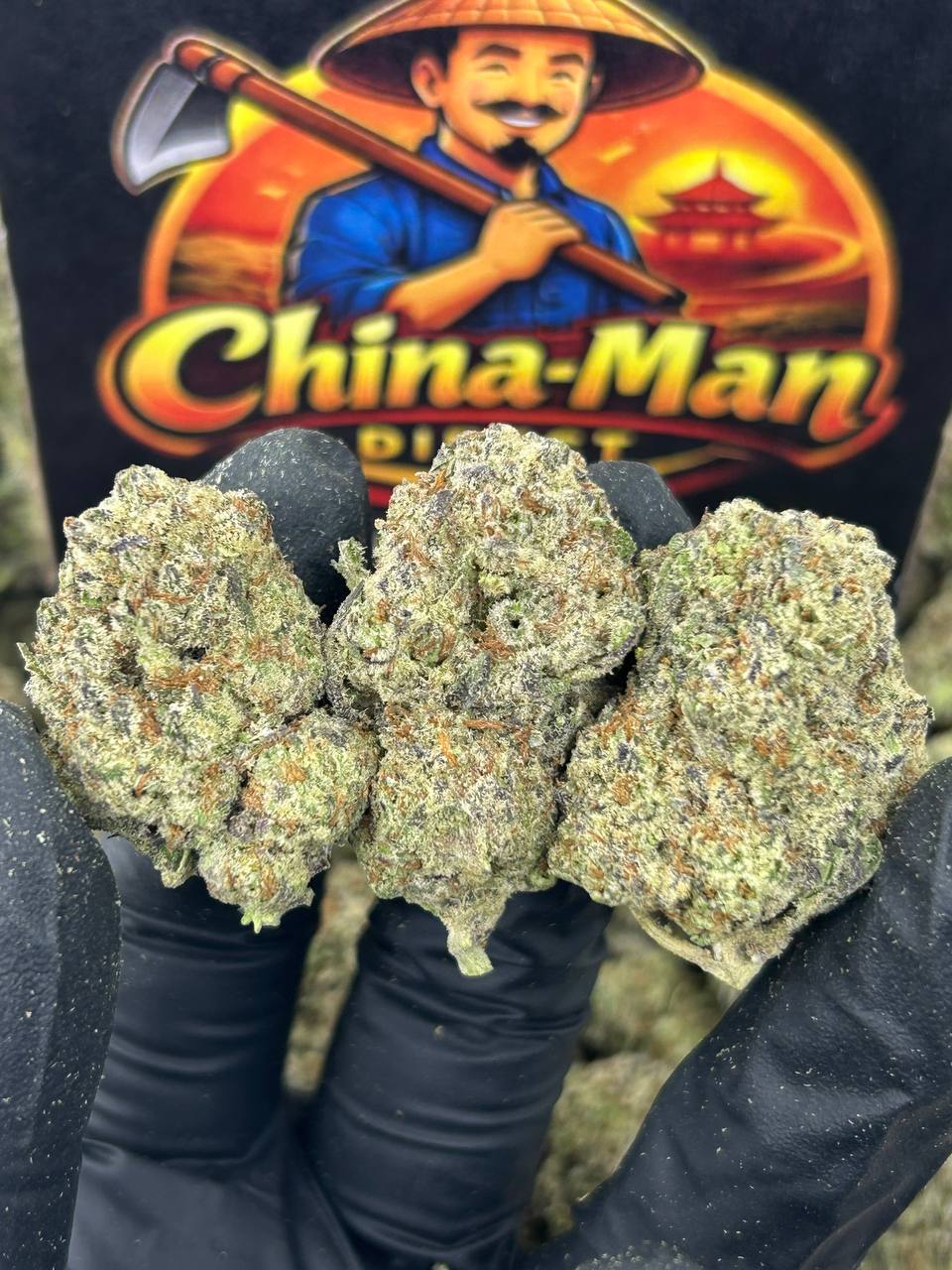 #B-EB021 - Frozen Berries (Hybrid)