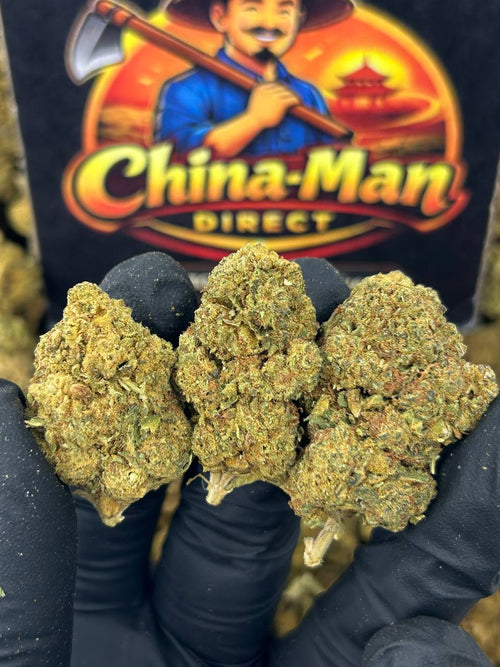 #B-EC009 - Blue Dream (Hybrid)