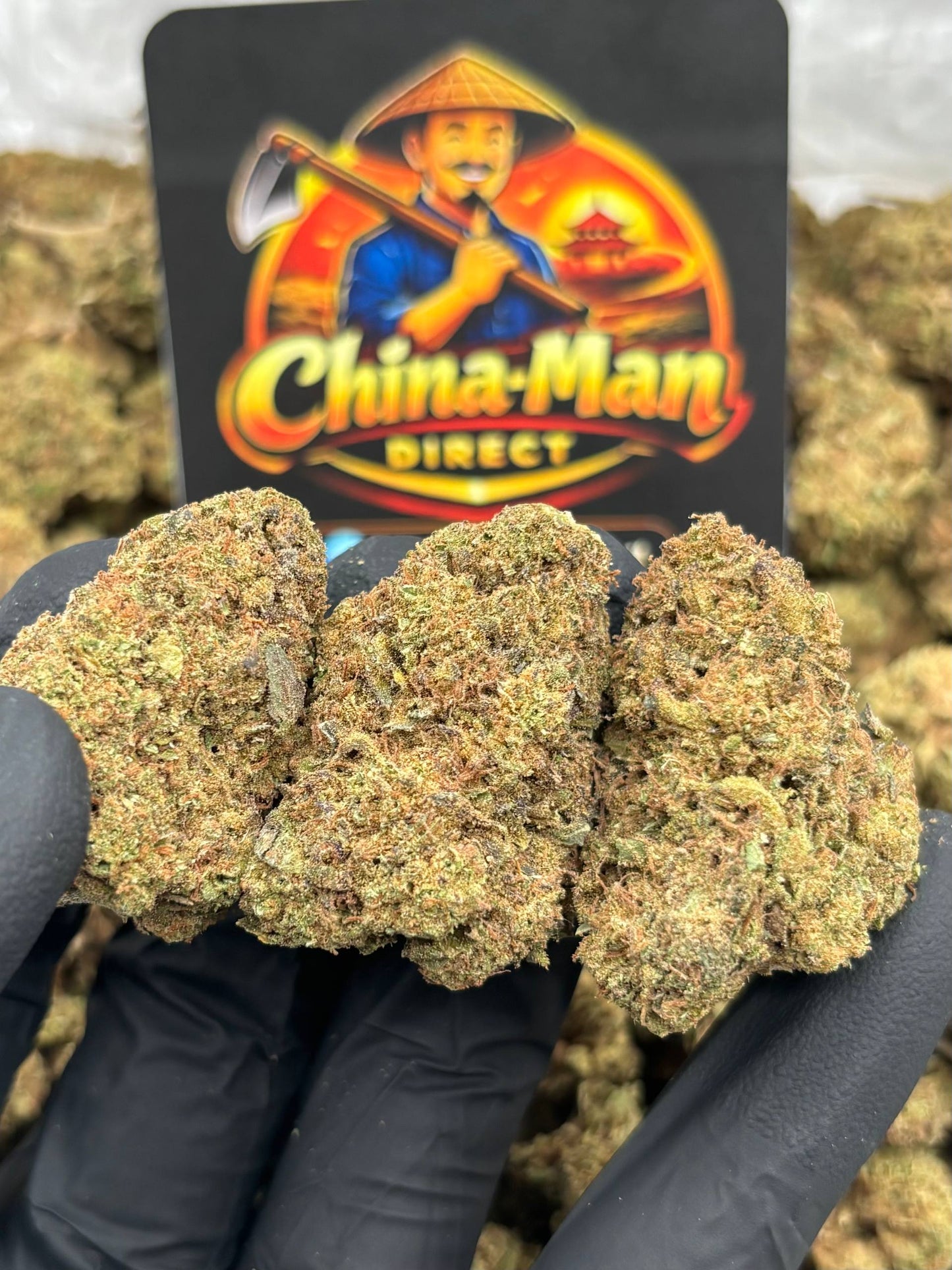 #B-EC010 - Northern Lights (Indica)