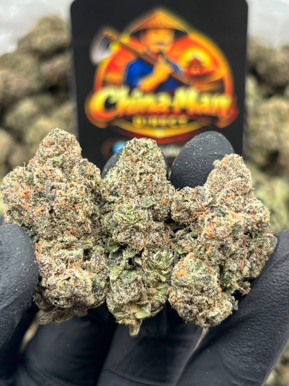 #B-LC039 - GSC (Hybrid)