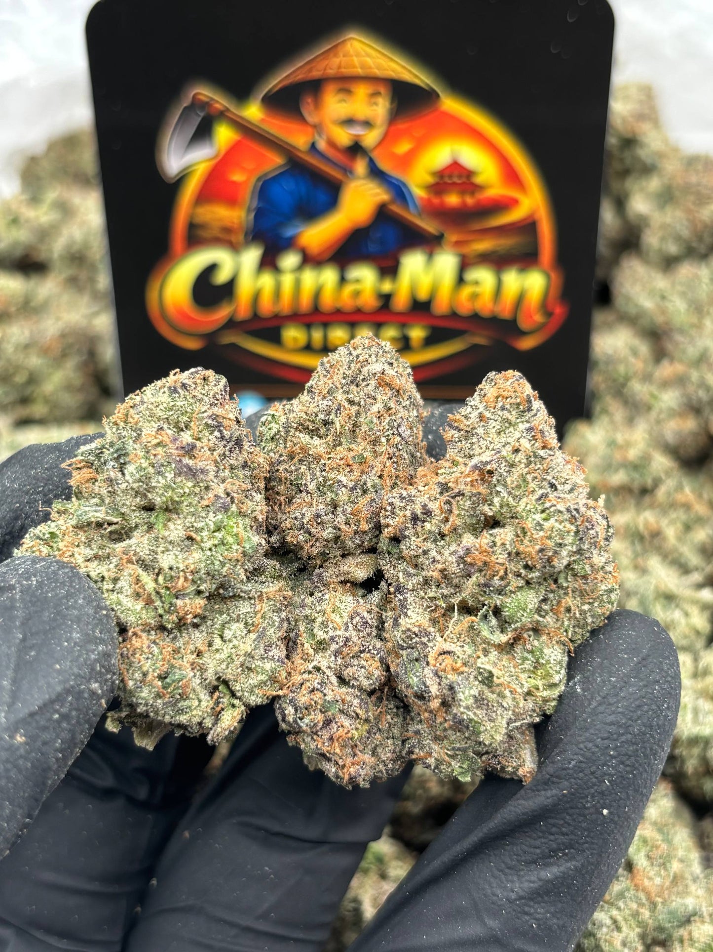#B-EX031 - Rainbow Belts (Indica)