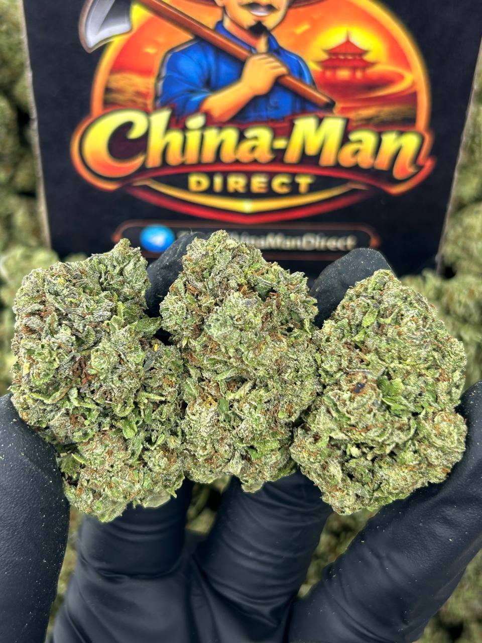 #N-EB248 - Berry Punch (Indica)