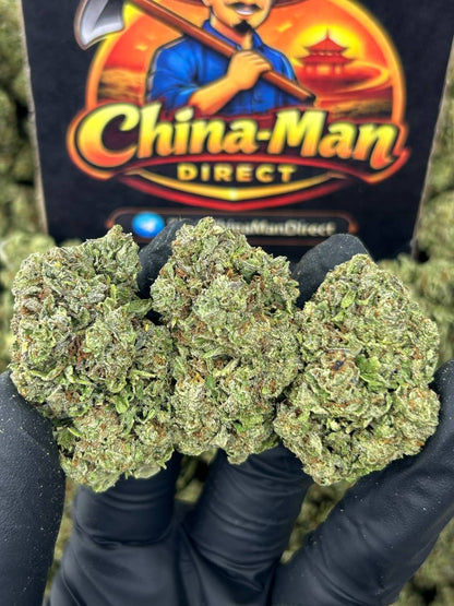 #N-EB248 - Berry Punch (Indica)