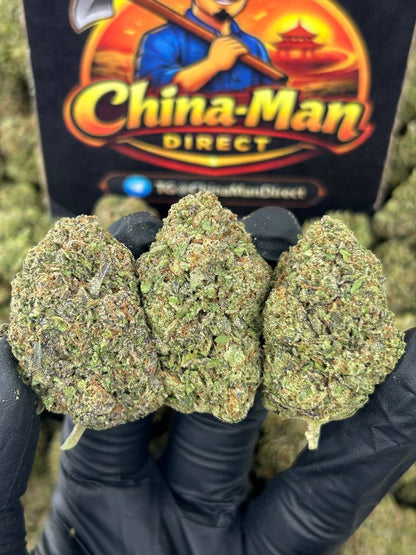 #N-EB252 - Grease Monkey (Indica)