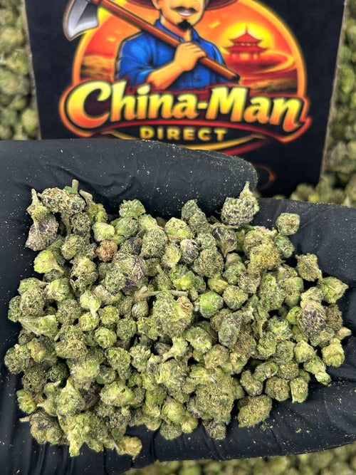 #N-ECS339 - Sunset Sherbet SM (Hybrid)