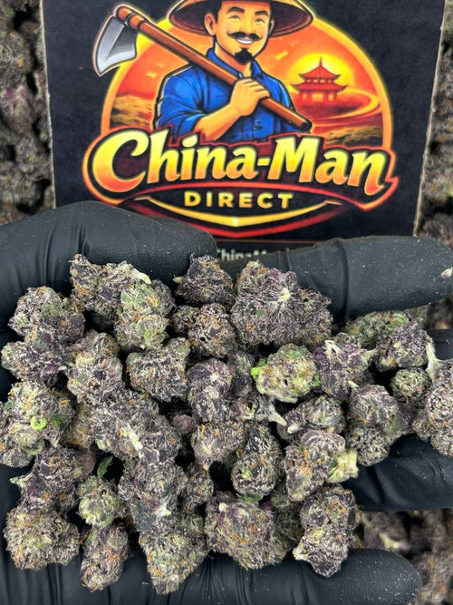 #N-ECS344 - Lemon Cherry Gelato SM (Hybrid)