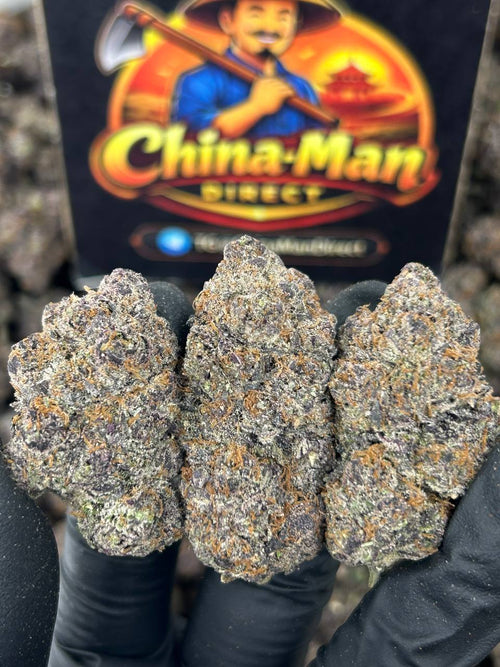 #N-CM1187 - Lemon Cherry Gelato (Hybrid)