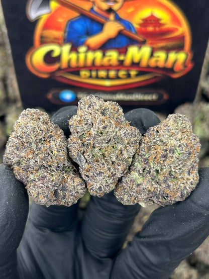 #N-CM1223 - Sherbert (Hybrid)