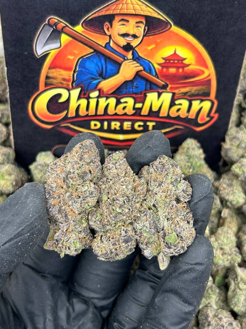 #N-EA773 - Berry Gelato (Hybrid)