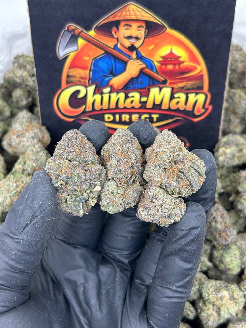 #N-CM1226 - Sticky Buns (Hybrid)