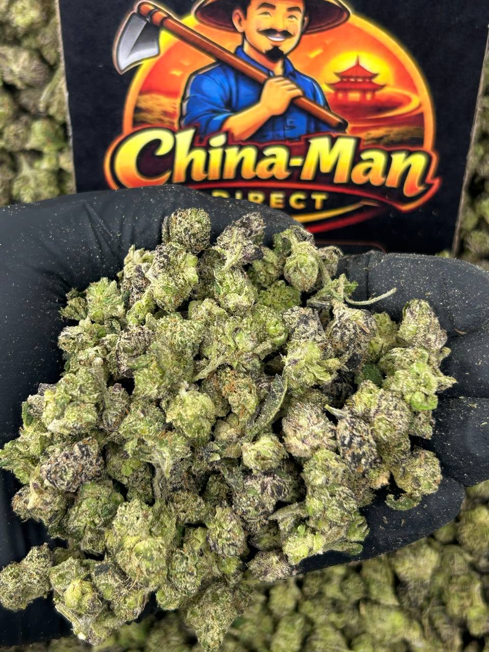 #N-ECS353 - Chocolope SM (Indica)