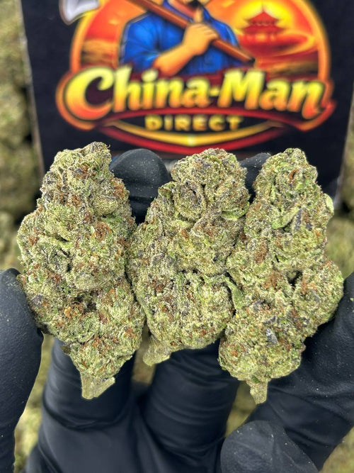 #N-EB257 - Chocolate Kush (Indica)