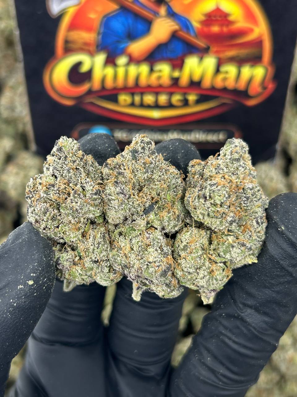 #N-EX090 - Marshmallow Cake (Hybrid)