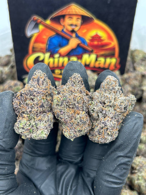 #N-CH361 - Frozen Yumberry (Hybrid)