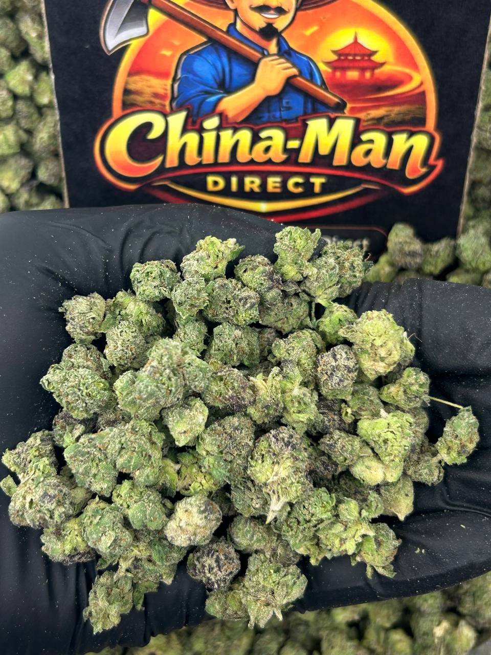 #N-ECS359 - Papaya Blaze SM (Hybrid)