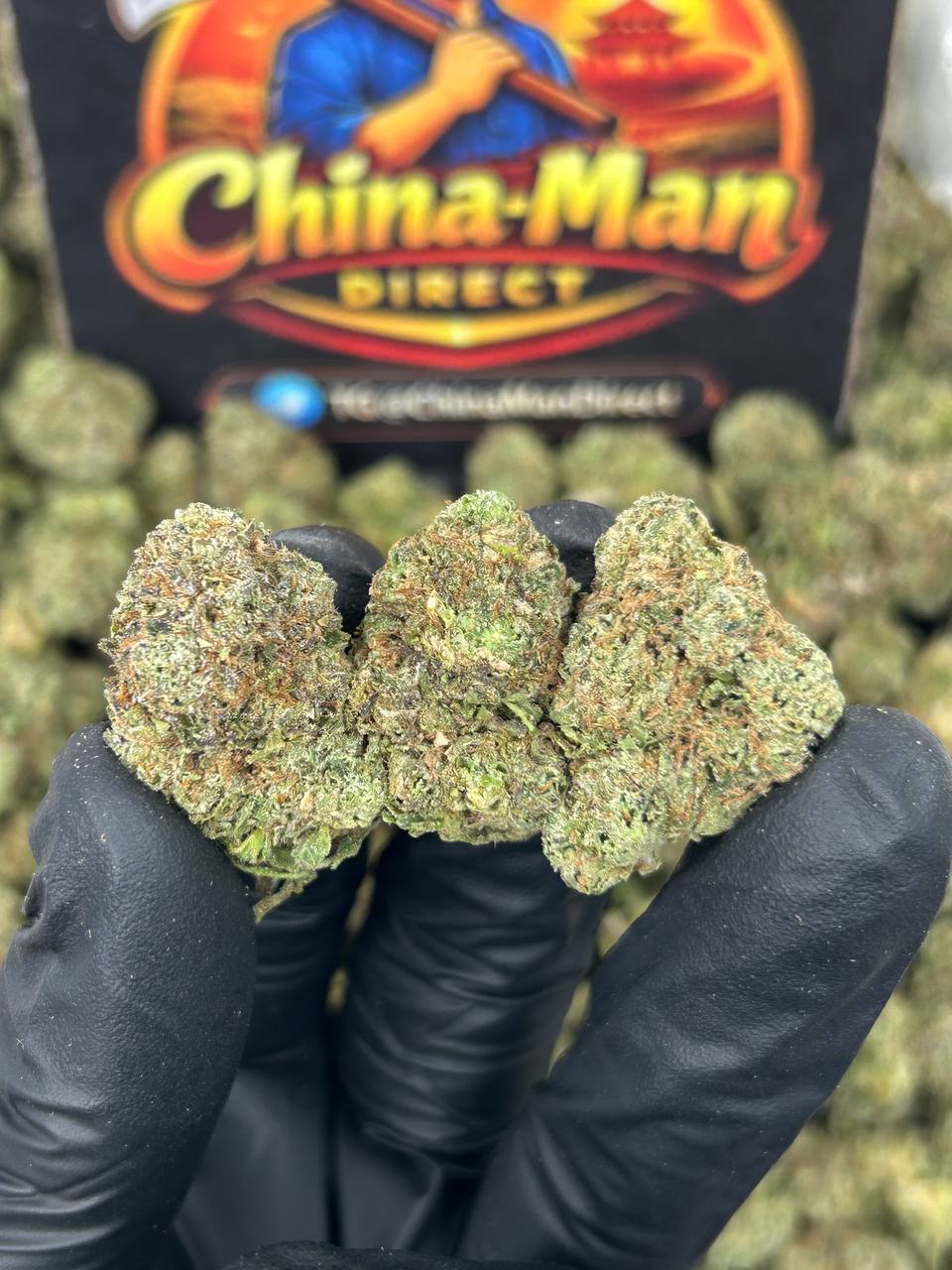 #N-EA812 - Grape Ape (Hybrid)