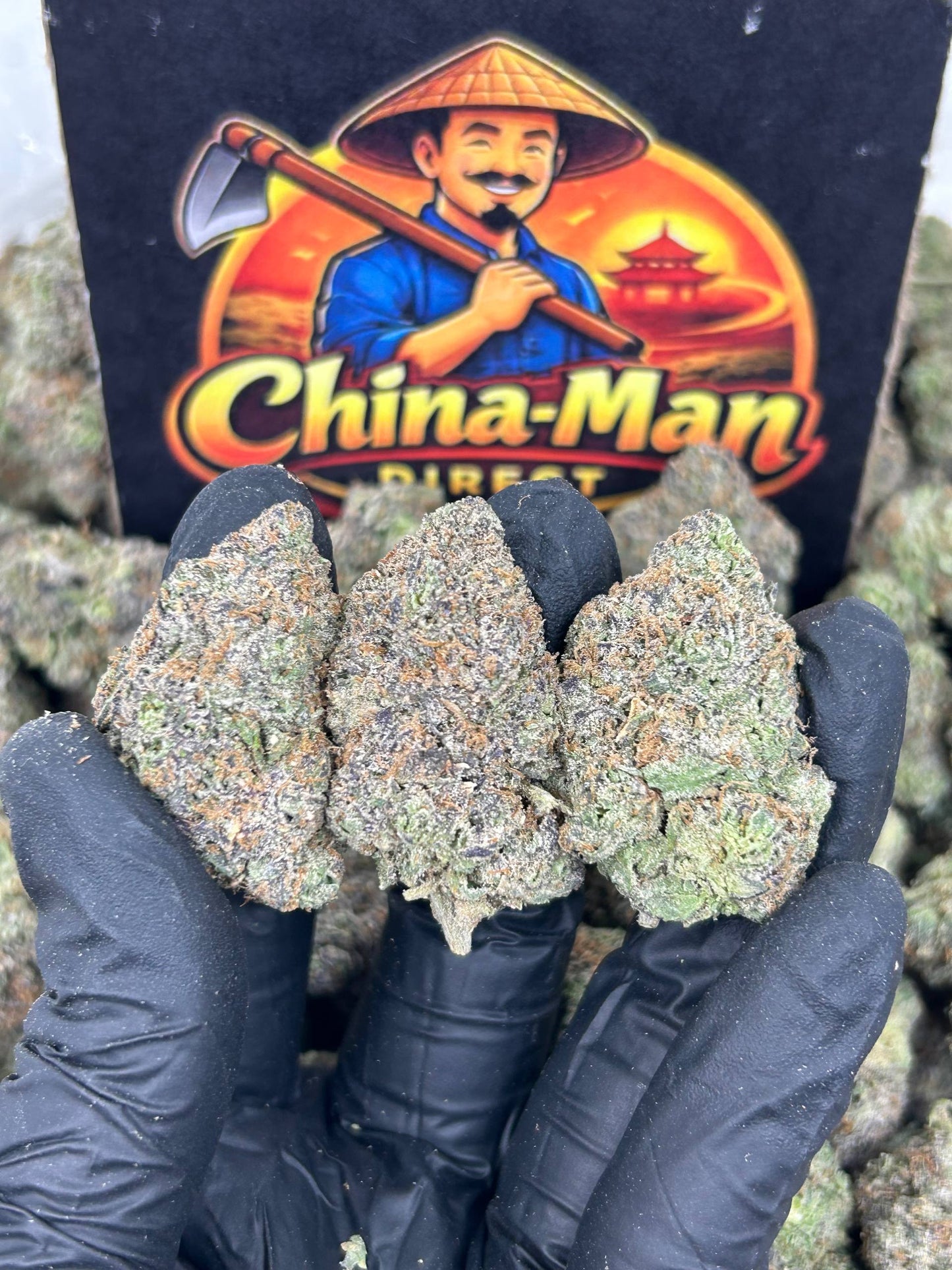 #N-EA821 - Space Jam (Hybrid)