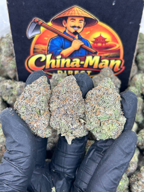 #N-EA821 - Space Jam (Hybrid)