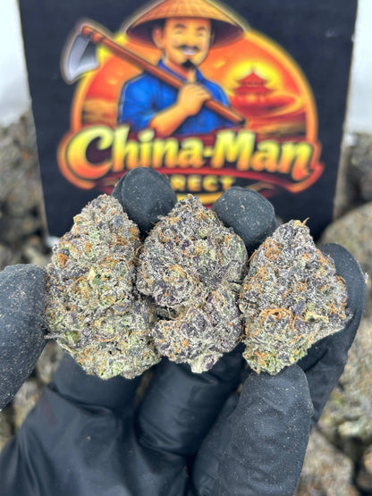 #N-CM1330 - Bubblegum Fritterz (Hybrid)