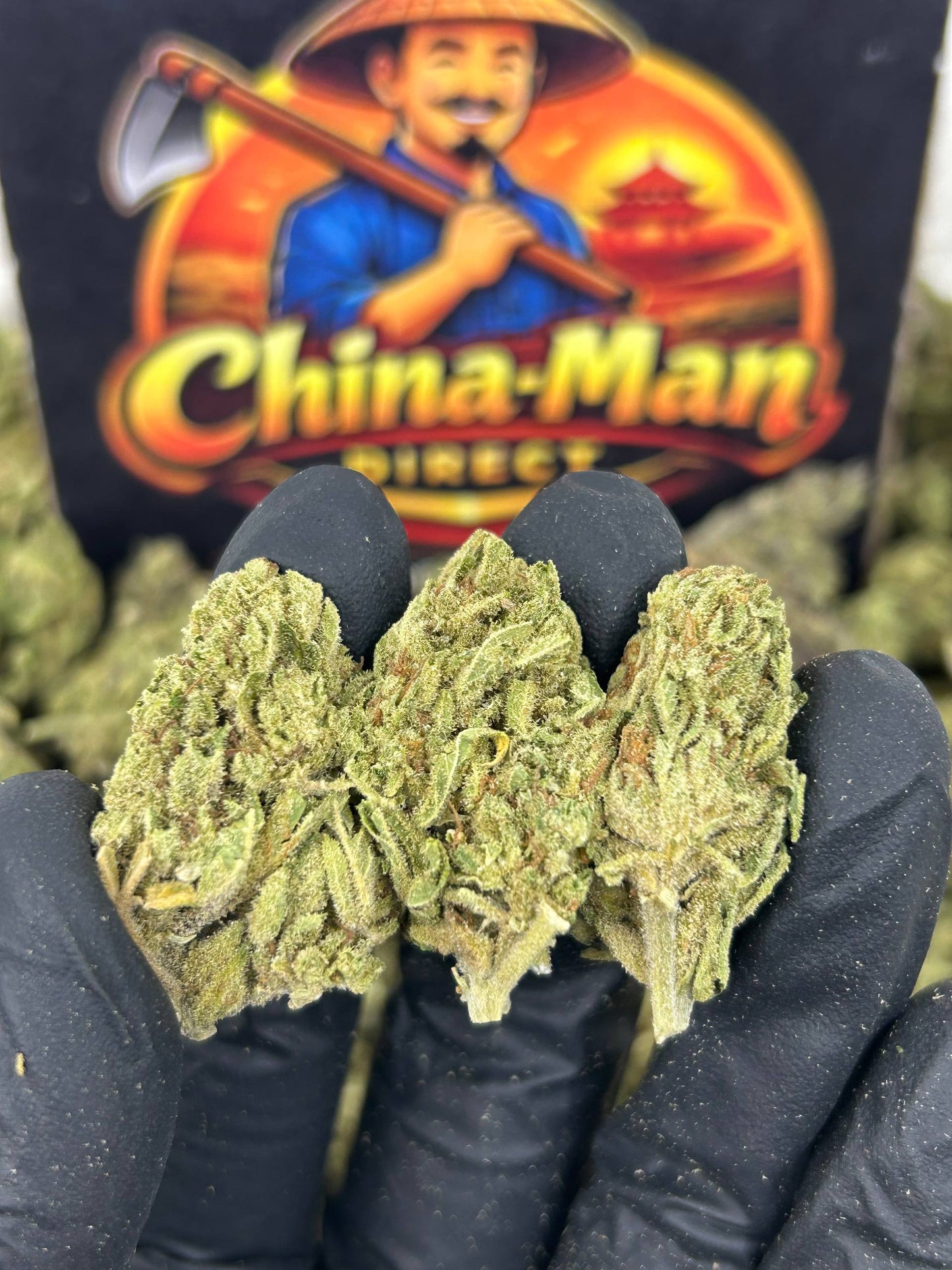 #B-EC017 - Trainwreck (Hybrid)