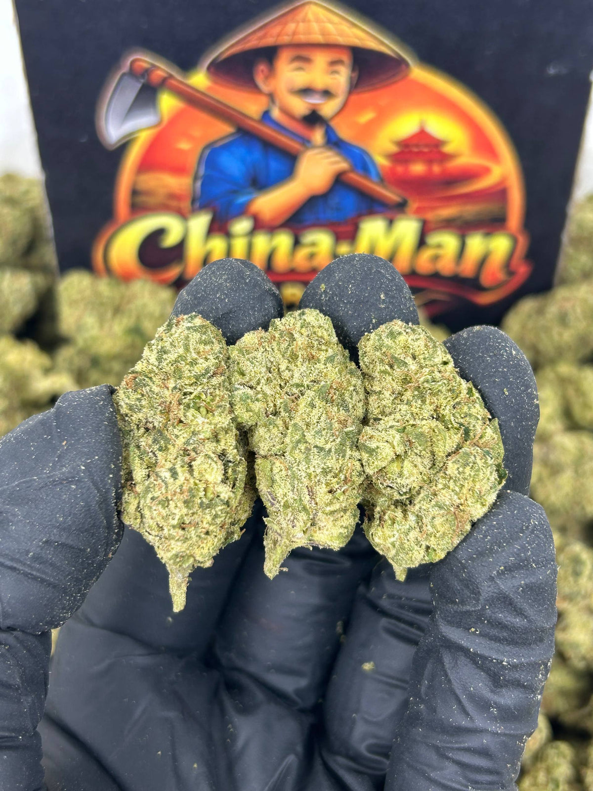 #B-EA021 - Ghost Gelato (Hybrid)