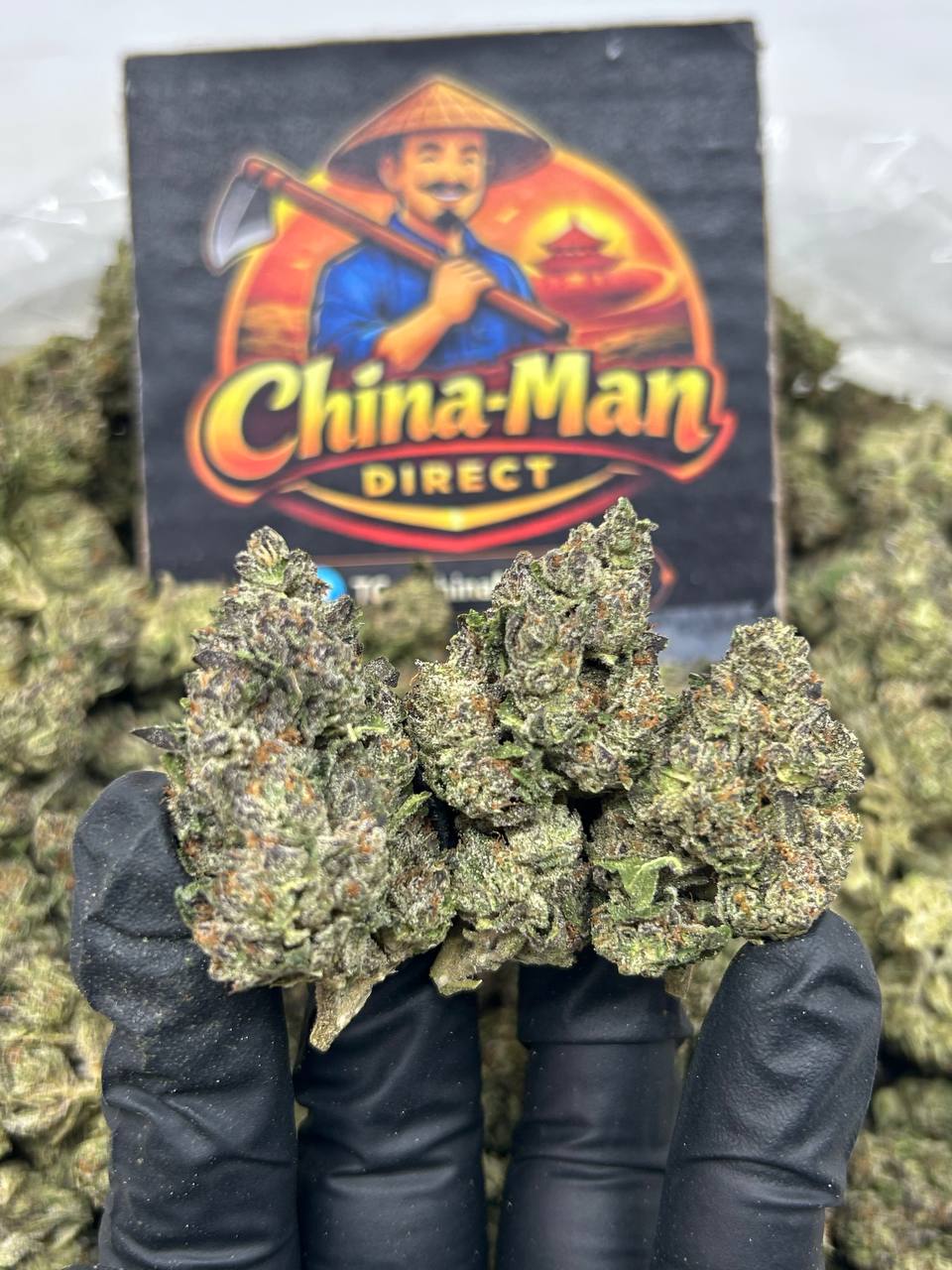 #N-EB292 - Grape Crush (Hybrid)